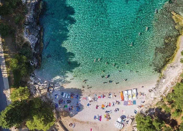 Gorgeous In With Wifi Apartment