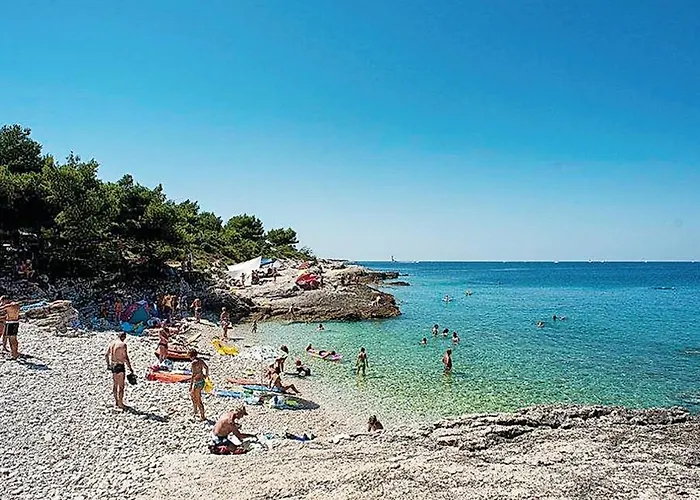 Apartment Gorgeous In With Wifi